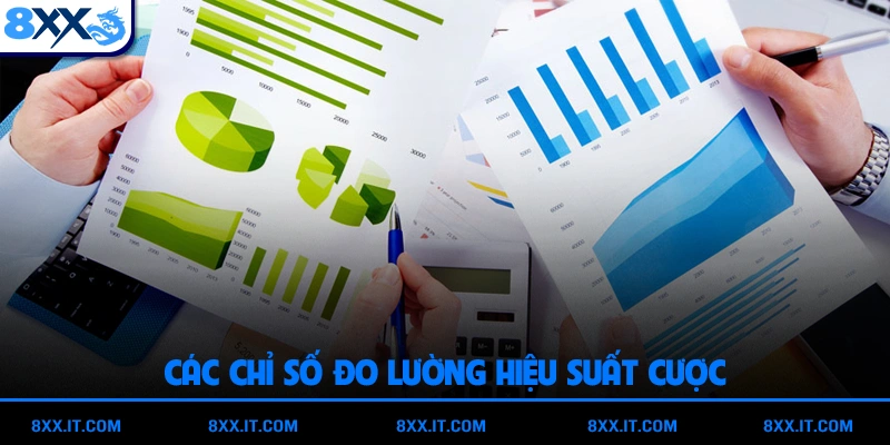 Các chỉ số đo lường hiệu suất cược